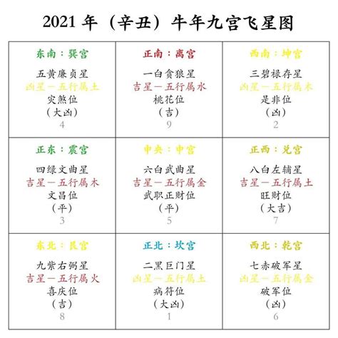 香港未來預言 2024 飛星